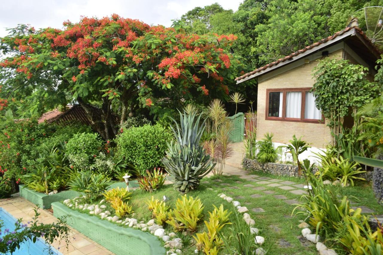 Jardim Bromelias Porto Seguro
