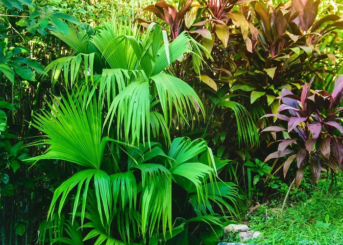 Pousada Jardim Das Bromelias