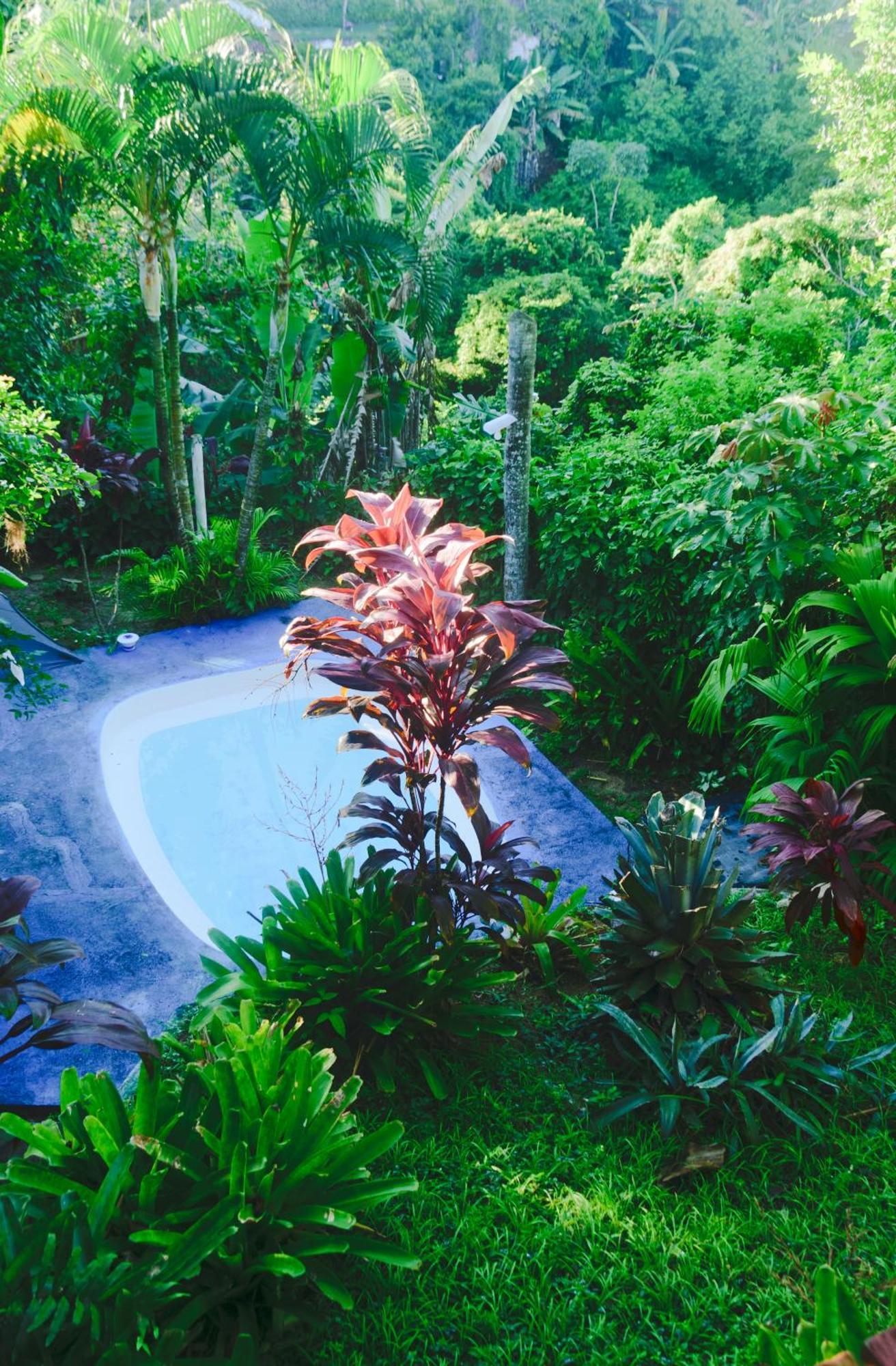 Jardim Bromelias Estalagem Porto Seguro